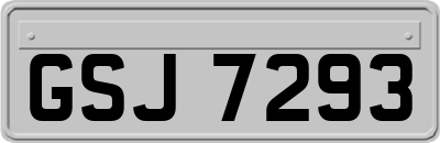 GSJ7293