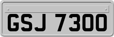 GSJ7300