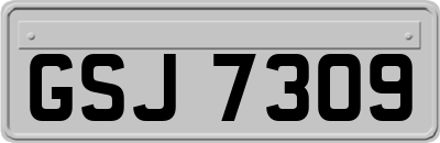 GSJ7309