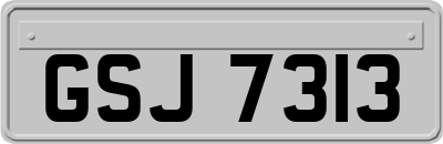 GSJ7313