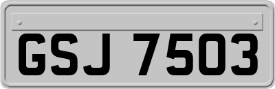 GSJ7503