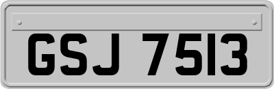 GSJ7513