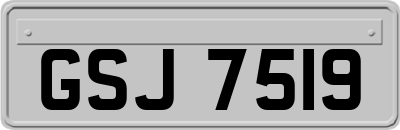 GSJ7519