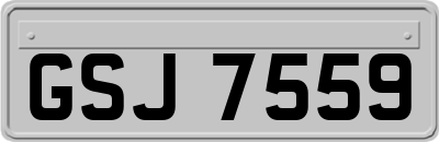 GSJ7559