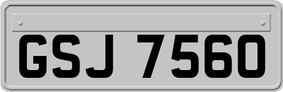 GSJ7560