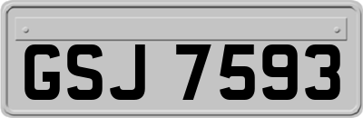 GSJ7593