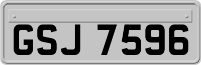 GSJ7596