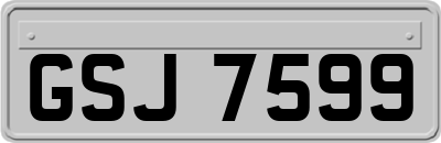 GSJ7599