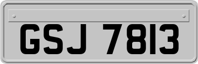 GSJ7813