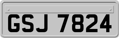 GSJ7824