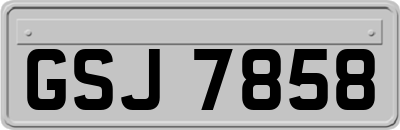 GSJ7858