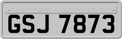 GSJ7873