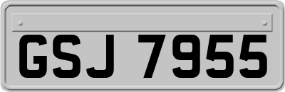 GSJ7955