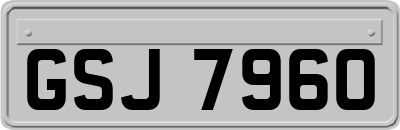 GSJ7960