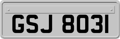 GSJ8031