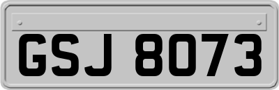 GSJ8073