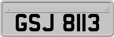 GSJ8113
