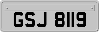 GSJ8119