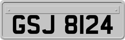 GSJ8124