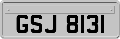 GSJ8131