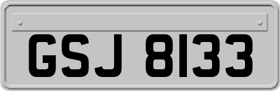 GSJ8133