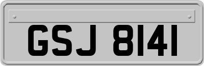 GSJ8141