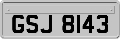 GSJ8143