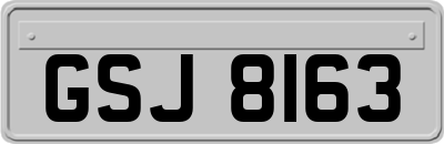 GSJ8163