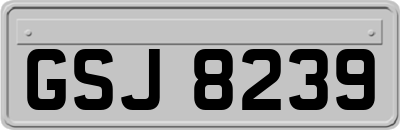 GSJ8239