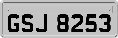 GSJ8253