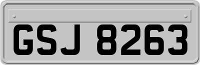 GSJ8263