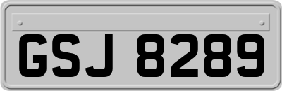 GSJ8289