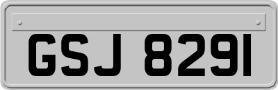 GSJ8291