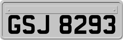 GSJ8293