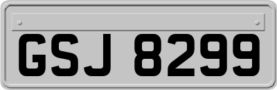 GSJ8299