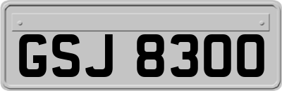 GSJ8300