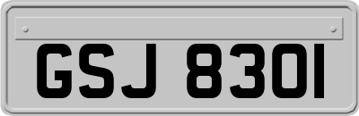 GSJ8301