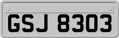GSJ8303