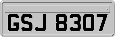 GSJ8307
