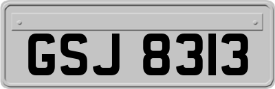 GSJ8313