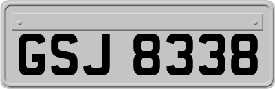 GSJ8338