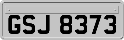 GSJ8373