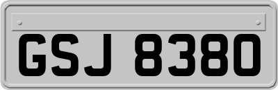 GSJ8380