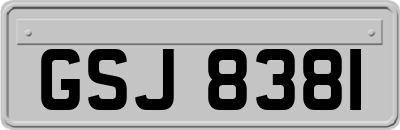 GSJ8381