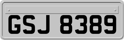 GSJ8389