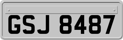 GSJ8487