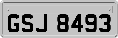 GSJ8493