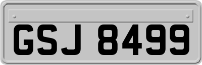 GSJ8499