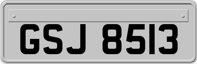 GSJ8513