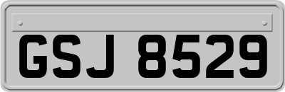 GSJ8529